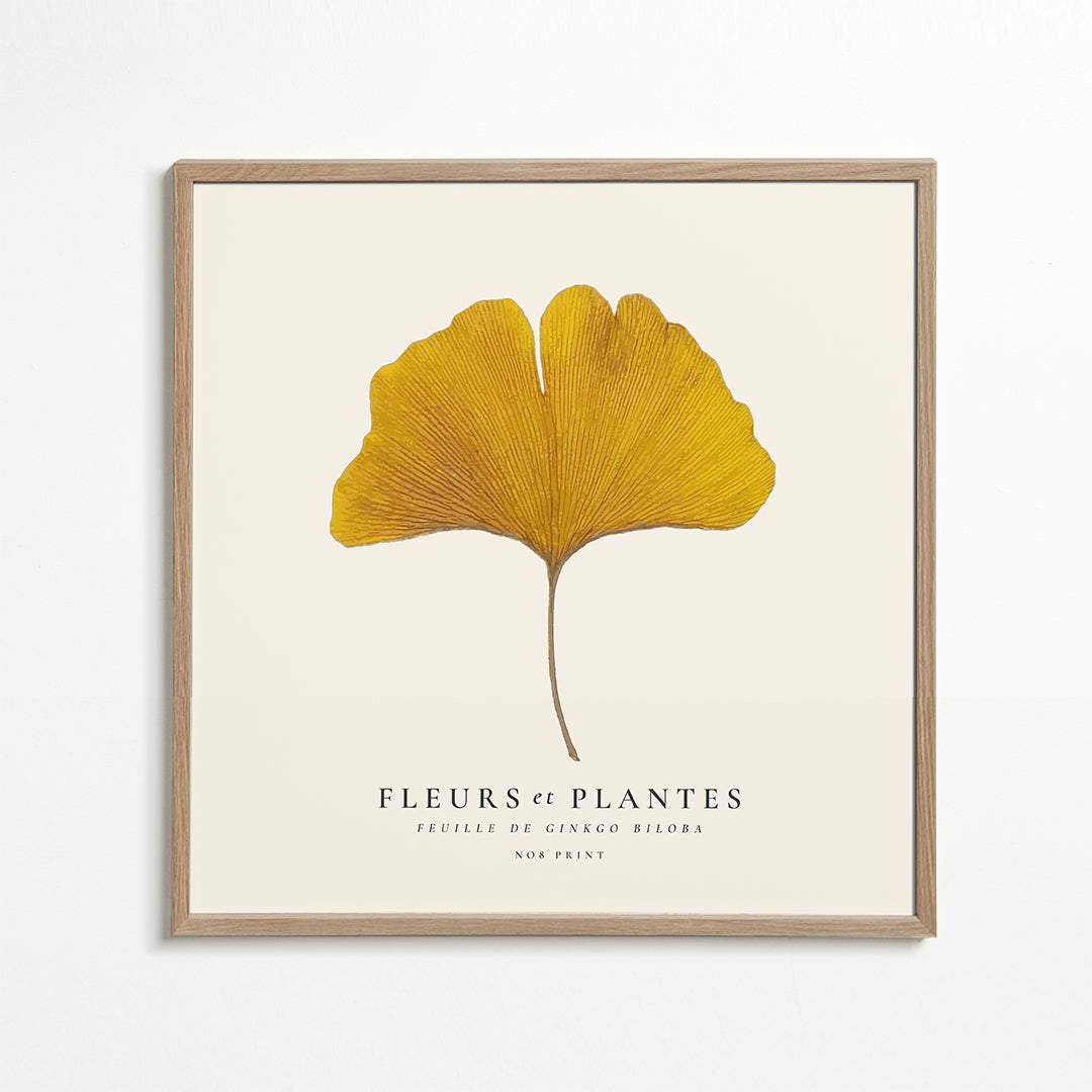 Botanisk plakat ginkgo blad gul