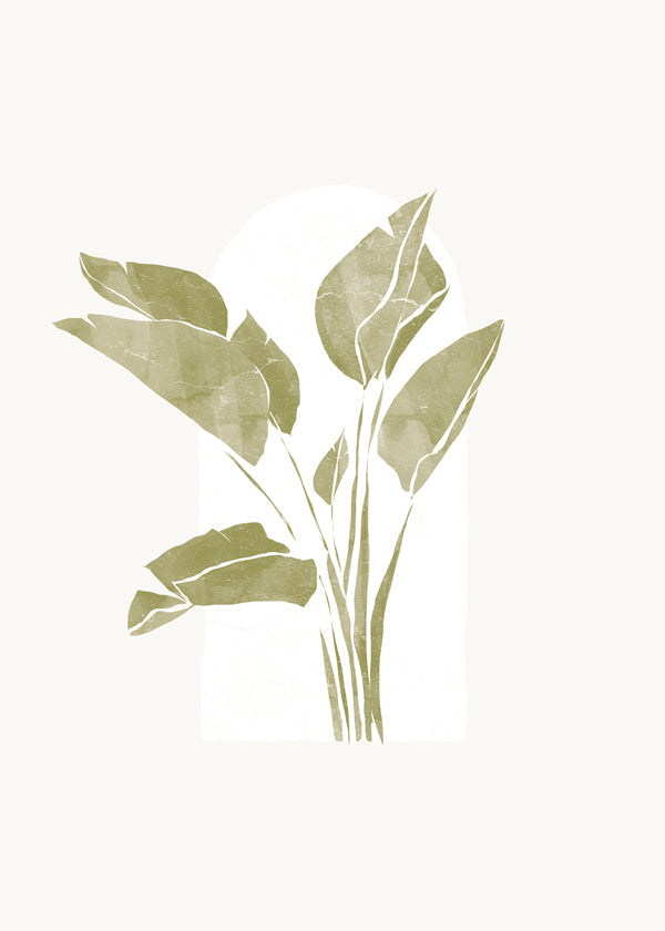 Botanisk plakat grønne blade med bue