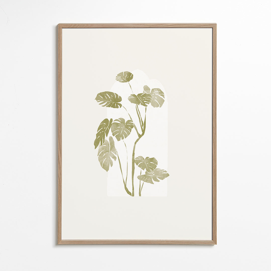 Botanisk plakat med stiliseret monstera