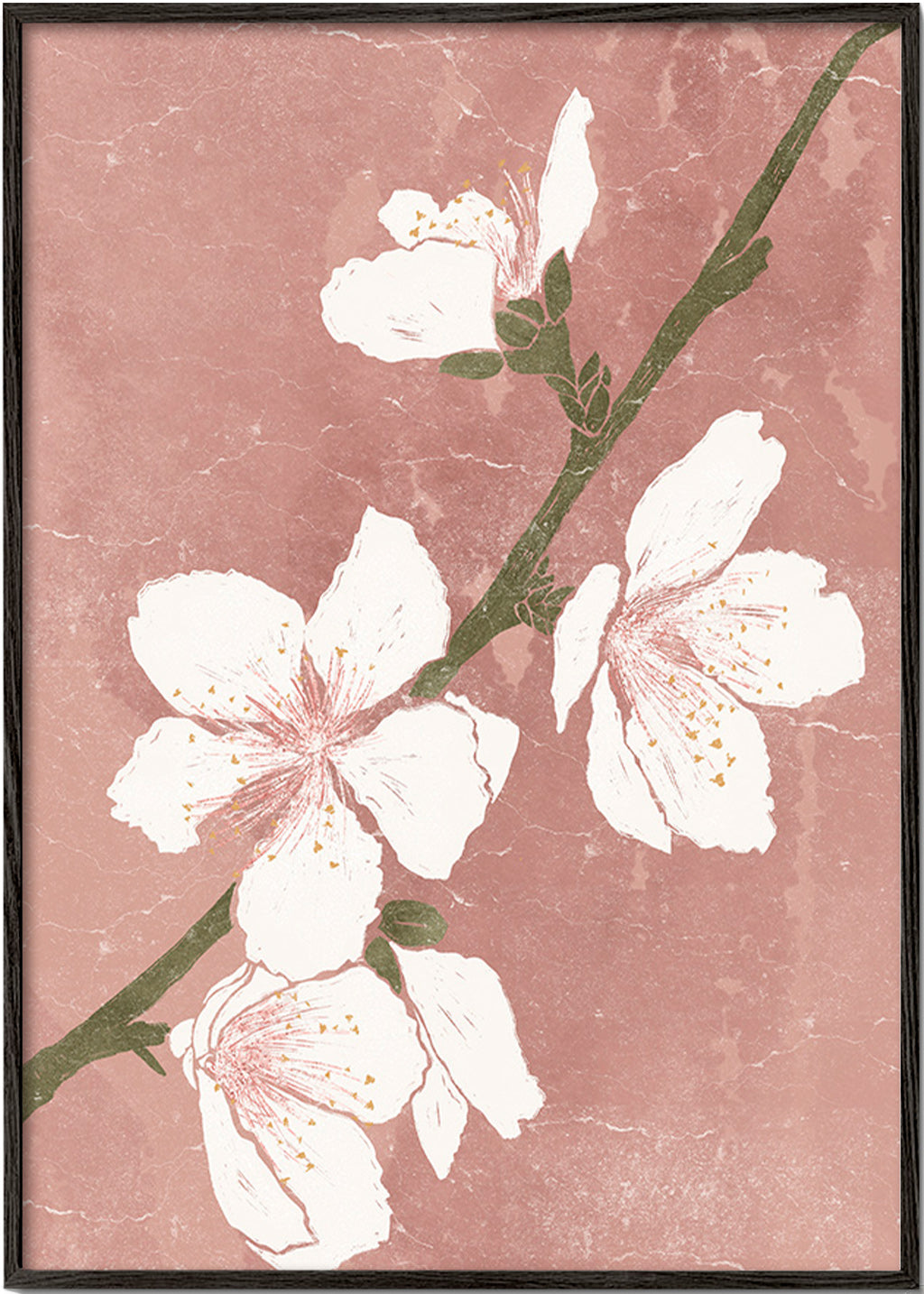 Botanisk plakat med blomst på lyserød baggrund – Black Frame