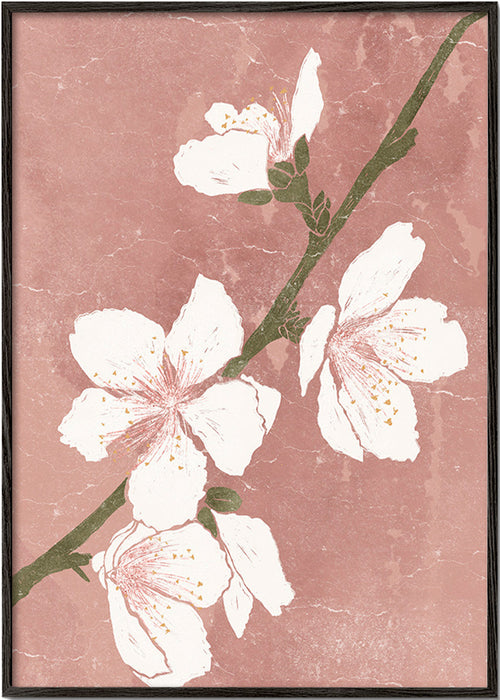 Botanisk plakat med blomst på lyserød baggrund – Black Frame