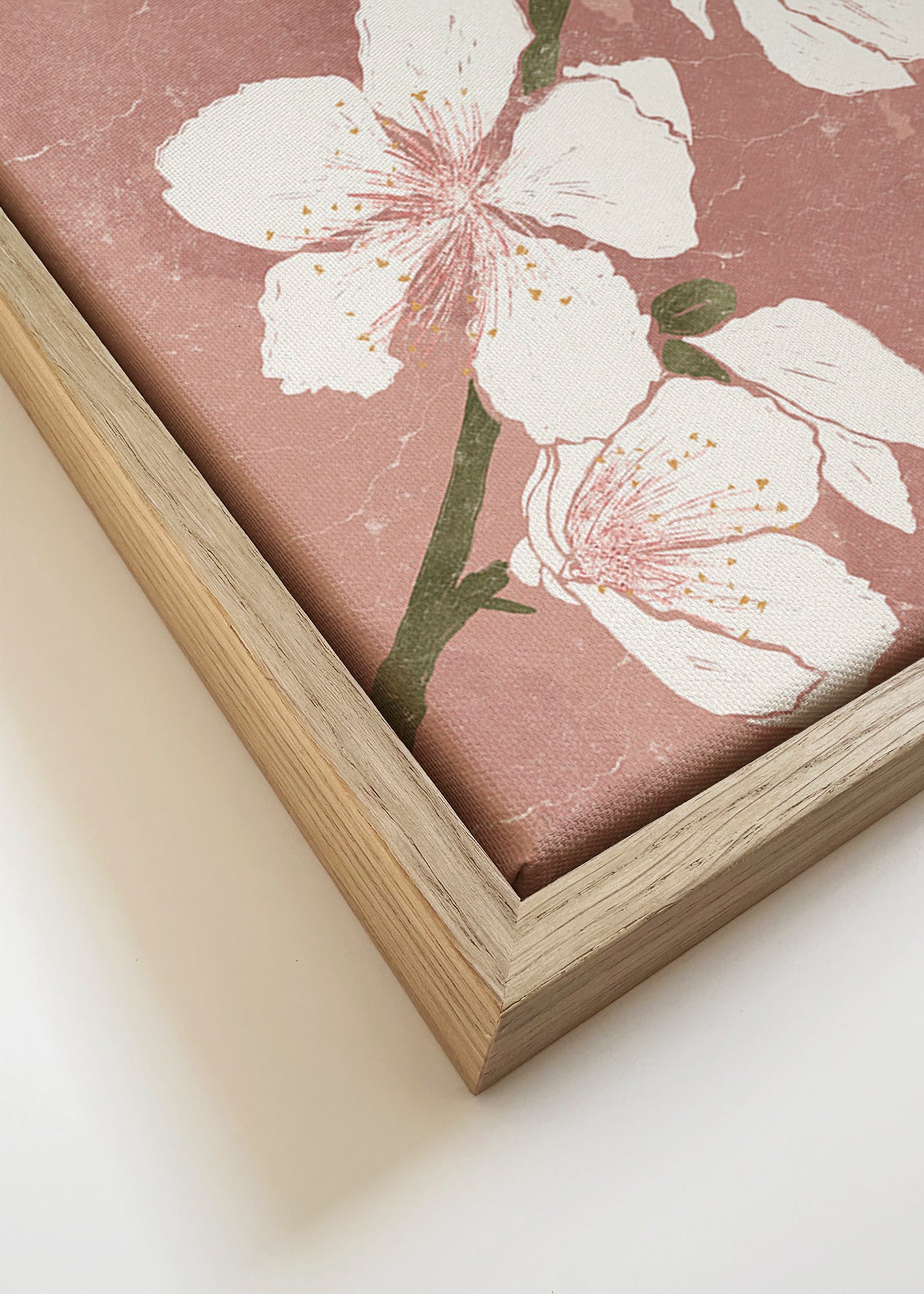 Botanisk plakat med blomst på lyserød baggrund – Canvas detail