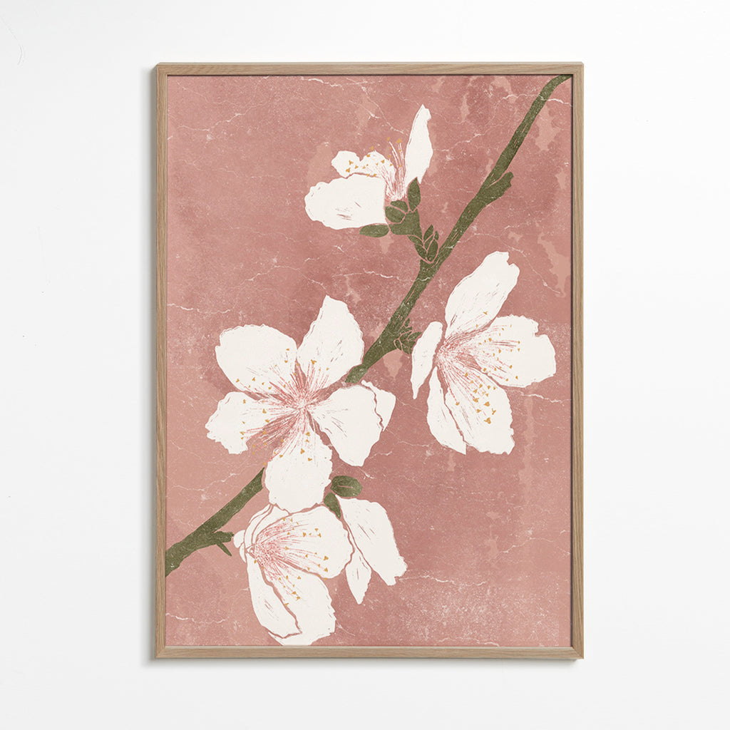 Botanisk plakat med blomst på lyserød baggrund – Oak Frame