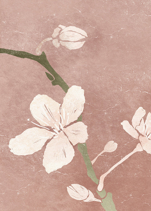Botanisk plakat rosa blomst