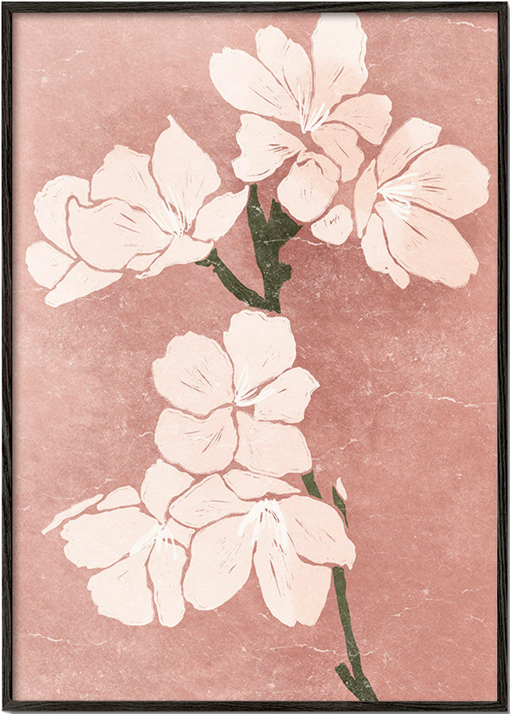 Botanisk plakat med rosa blomster og vintage tekstur – Black Frame