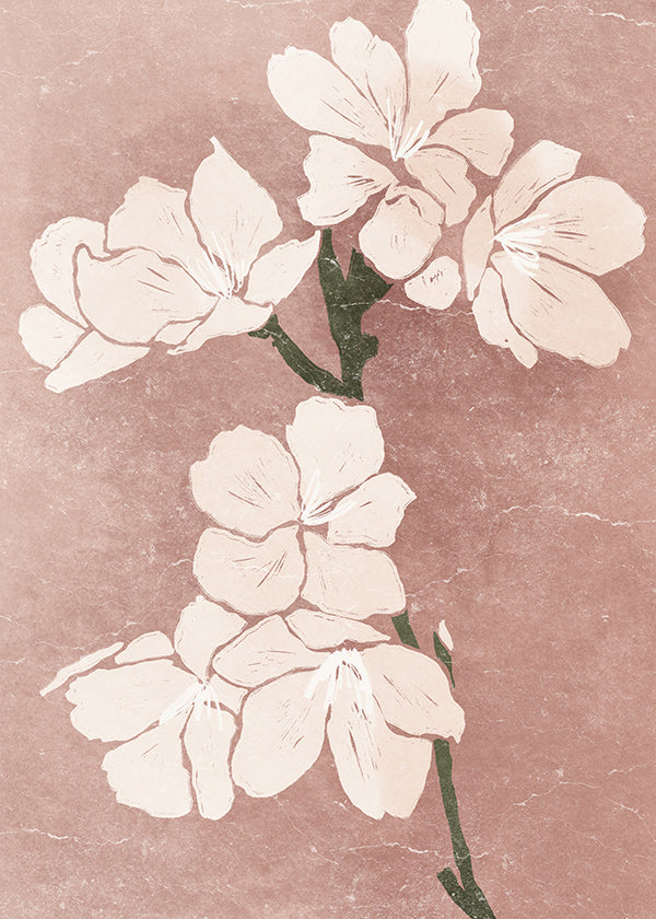 Botanisk plakat med rosa blomster og vintage tekstur