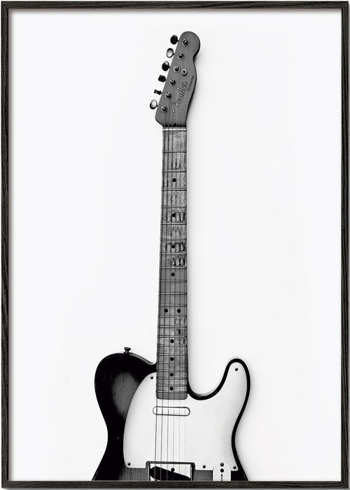 Guitar fotografi lodret