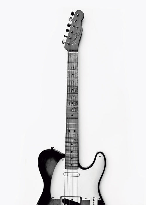 Guitar fotografi lodret