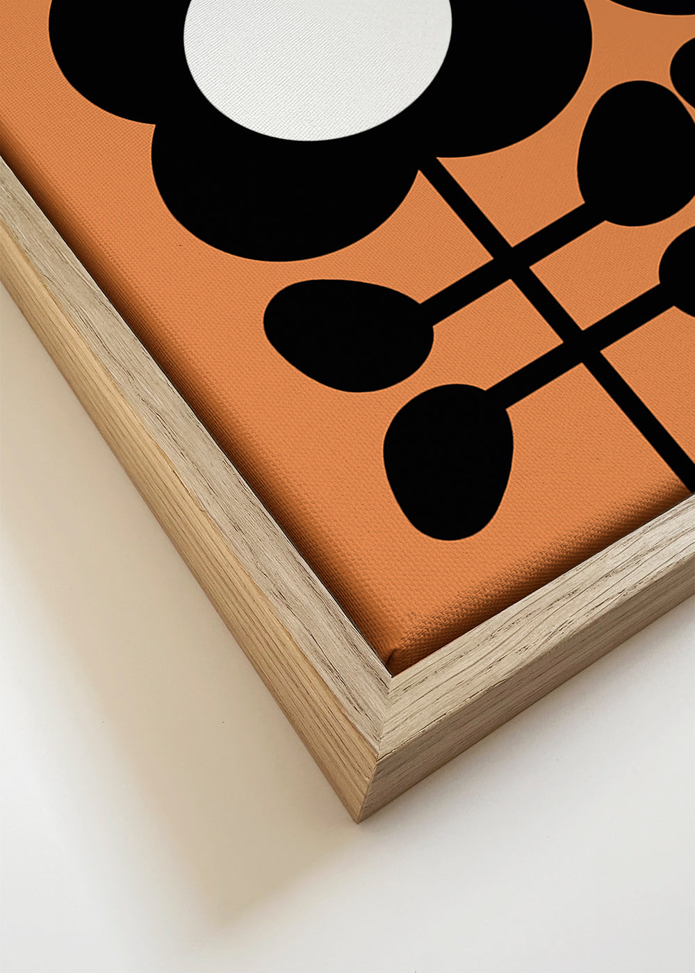 Botanisk plakat Daisy minimalist