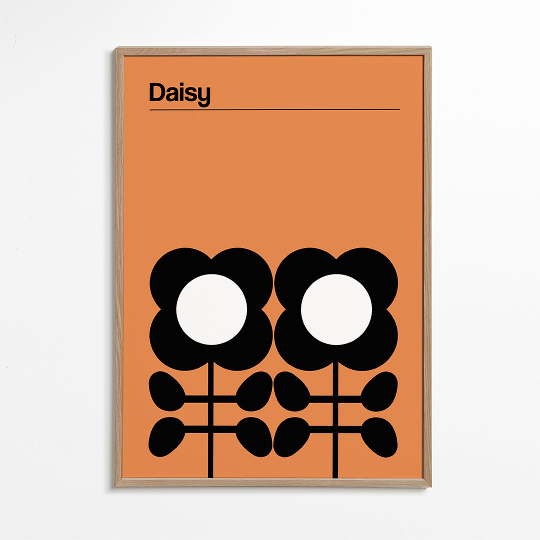 Botanisk plakat Daisy minimalist