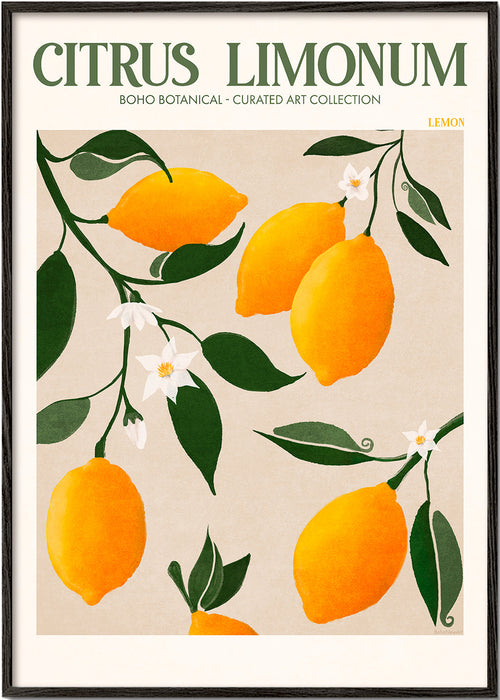 Botanisk plakat citroner på gren