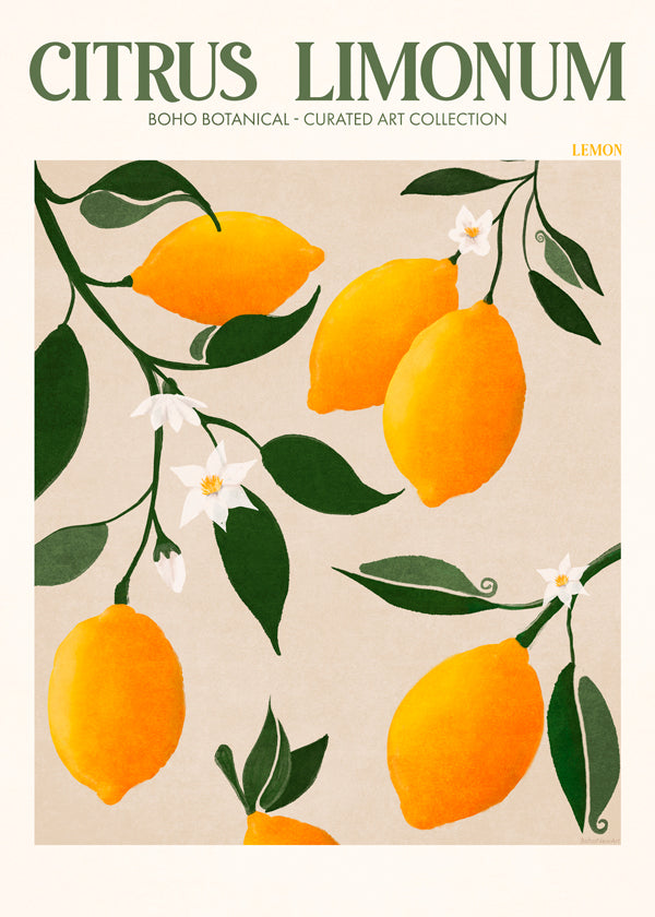 Botanisk plakat citroner på gren
