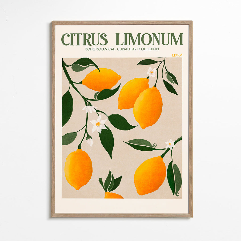 Botanisk plakat citroner på gren