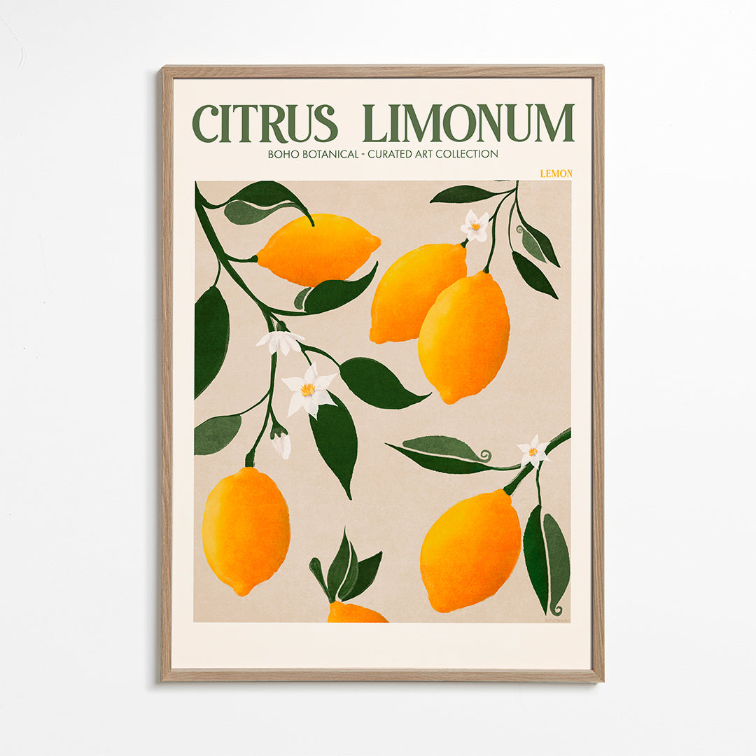 Botanisk plakat citroner på gren