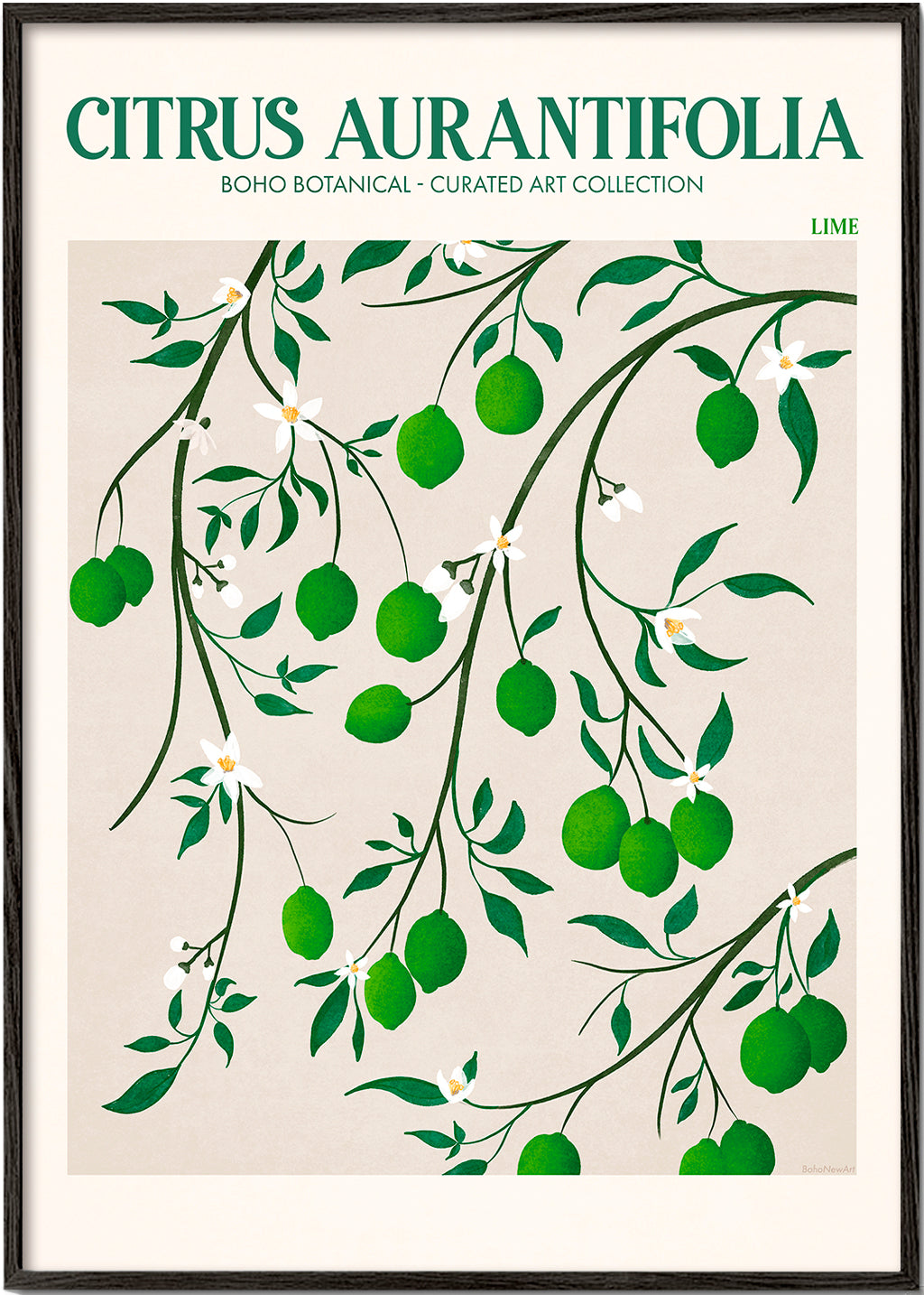 Botanisk plakat med limegrene