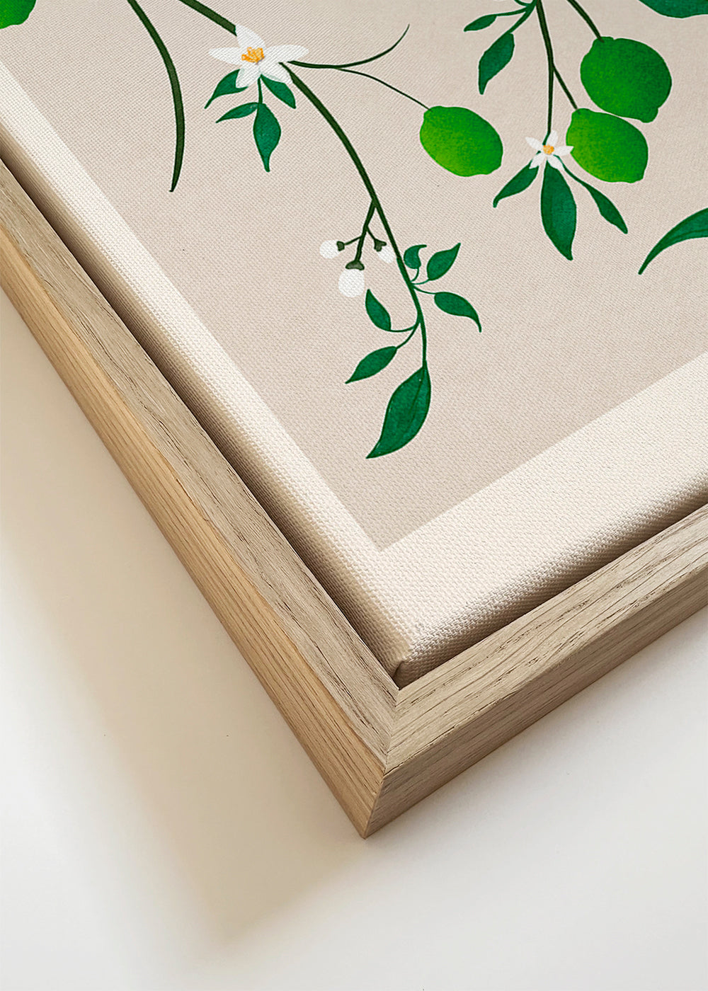Botanisk plakat med limegrene