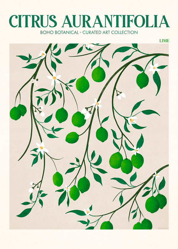 Botanisk plakat med limegrene