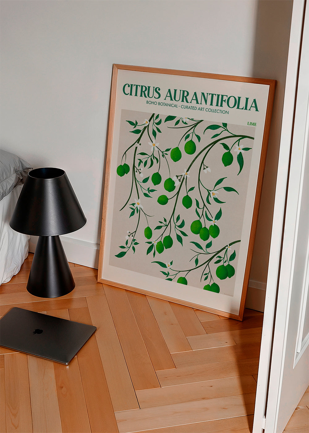 Botanisk plakat med limegrene