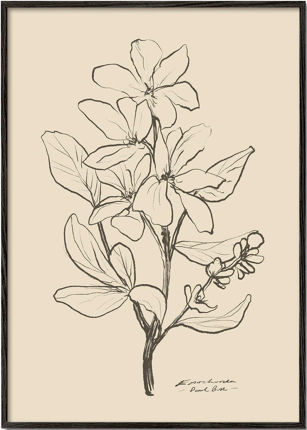Botanisk plakat — lineær blomsterskitse