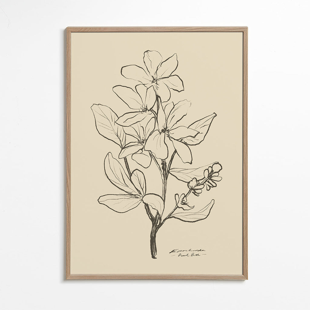 Botanisk plakat — lineær blomsterskitse