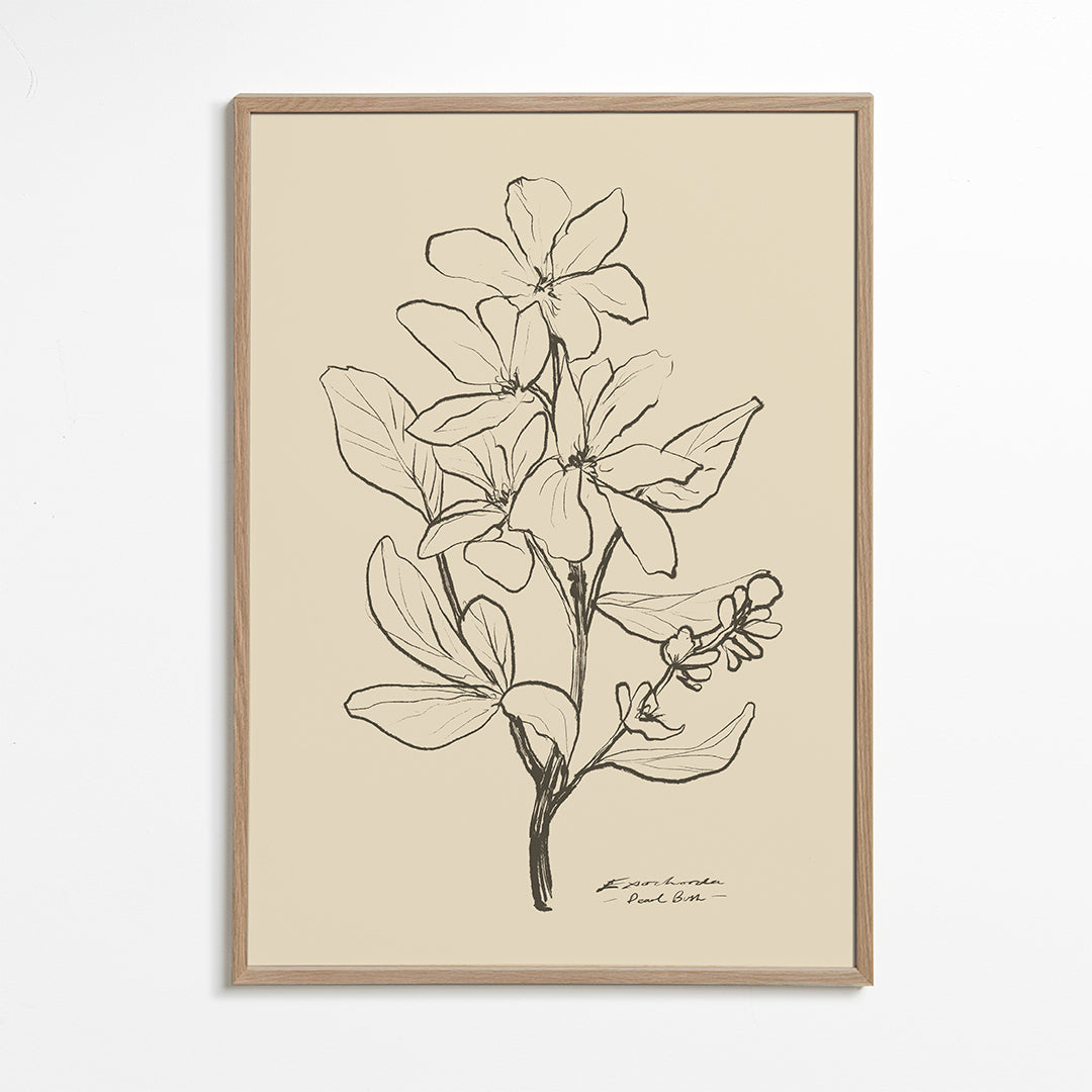 Botanisk plakat — lineær blomsterskitse