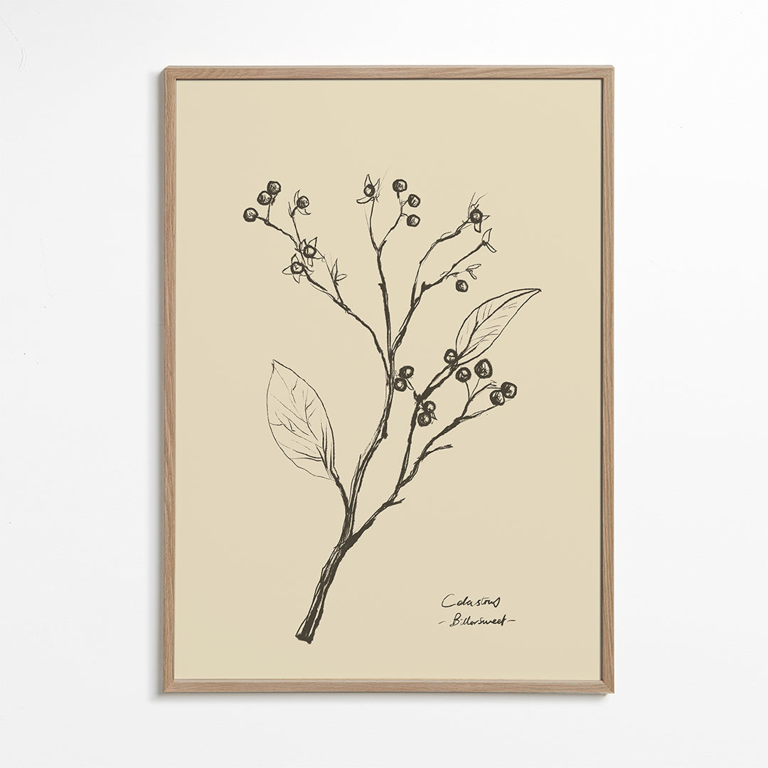 Botanisk plakat: gren med bær på beige