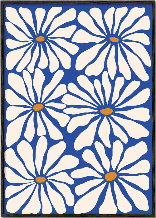 Botanisk plakat hvide margueritter på blå baggrund