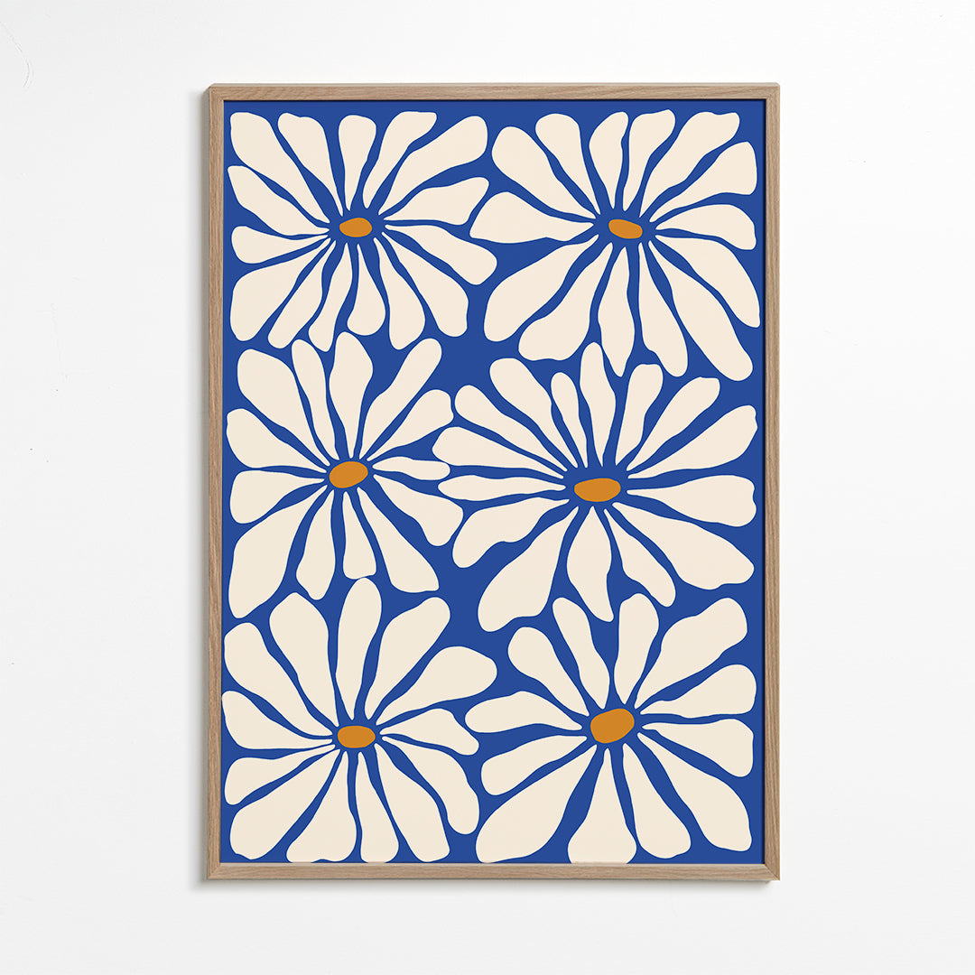 Botanisk plakat hvide margueritter på blå baggrund