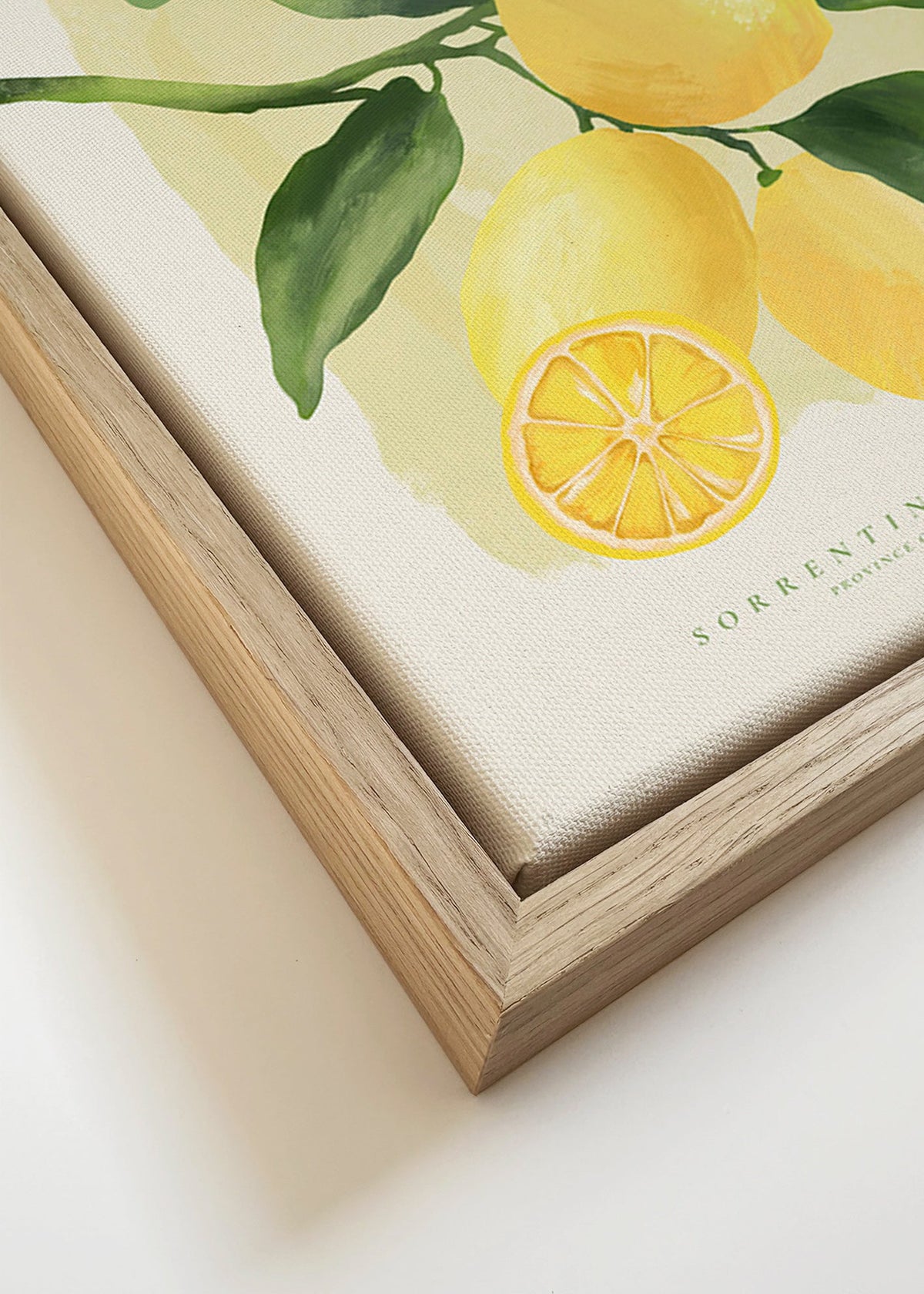 Botanisk Amalfi-citronplakat