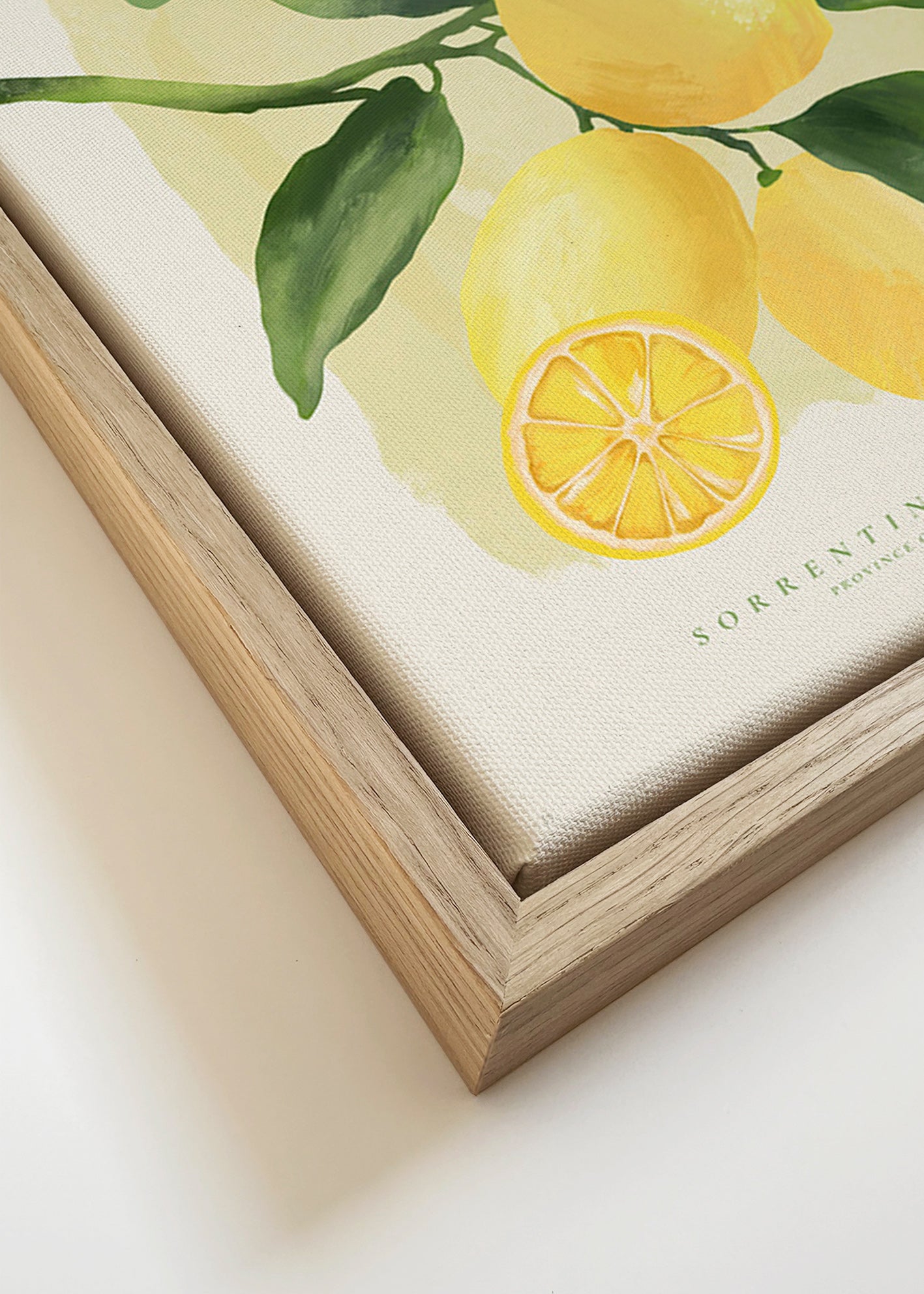 Botanisk Amalfi-citronplakat