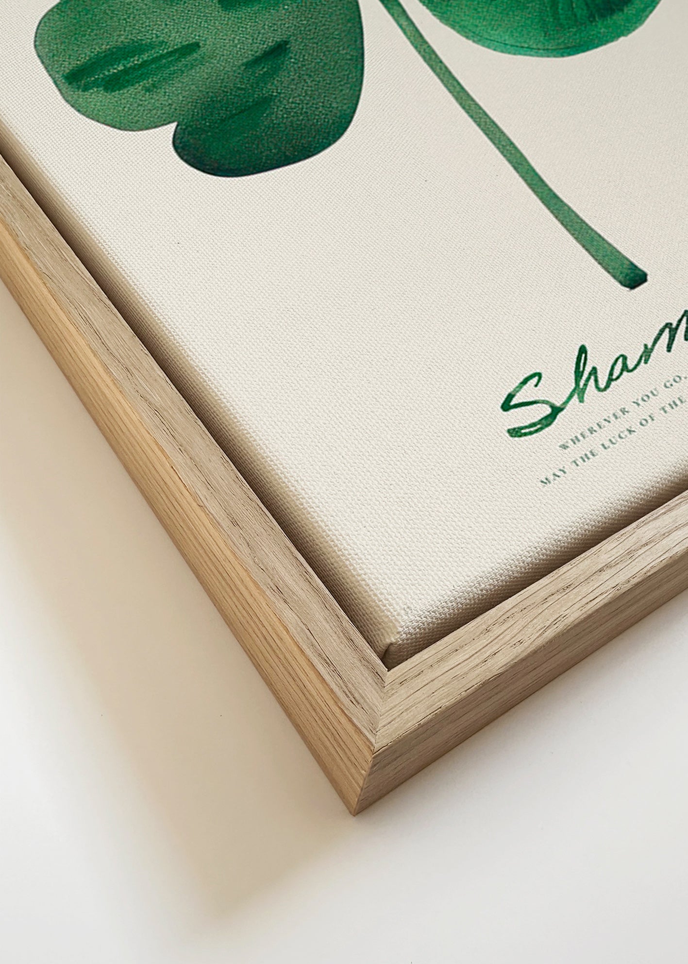 Botanisk plakat Shamrock kløver akvarel