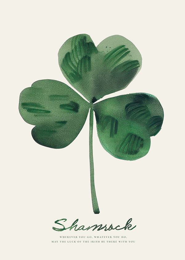 Botanisk plakat Shamrock kløver akvarel