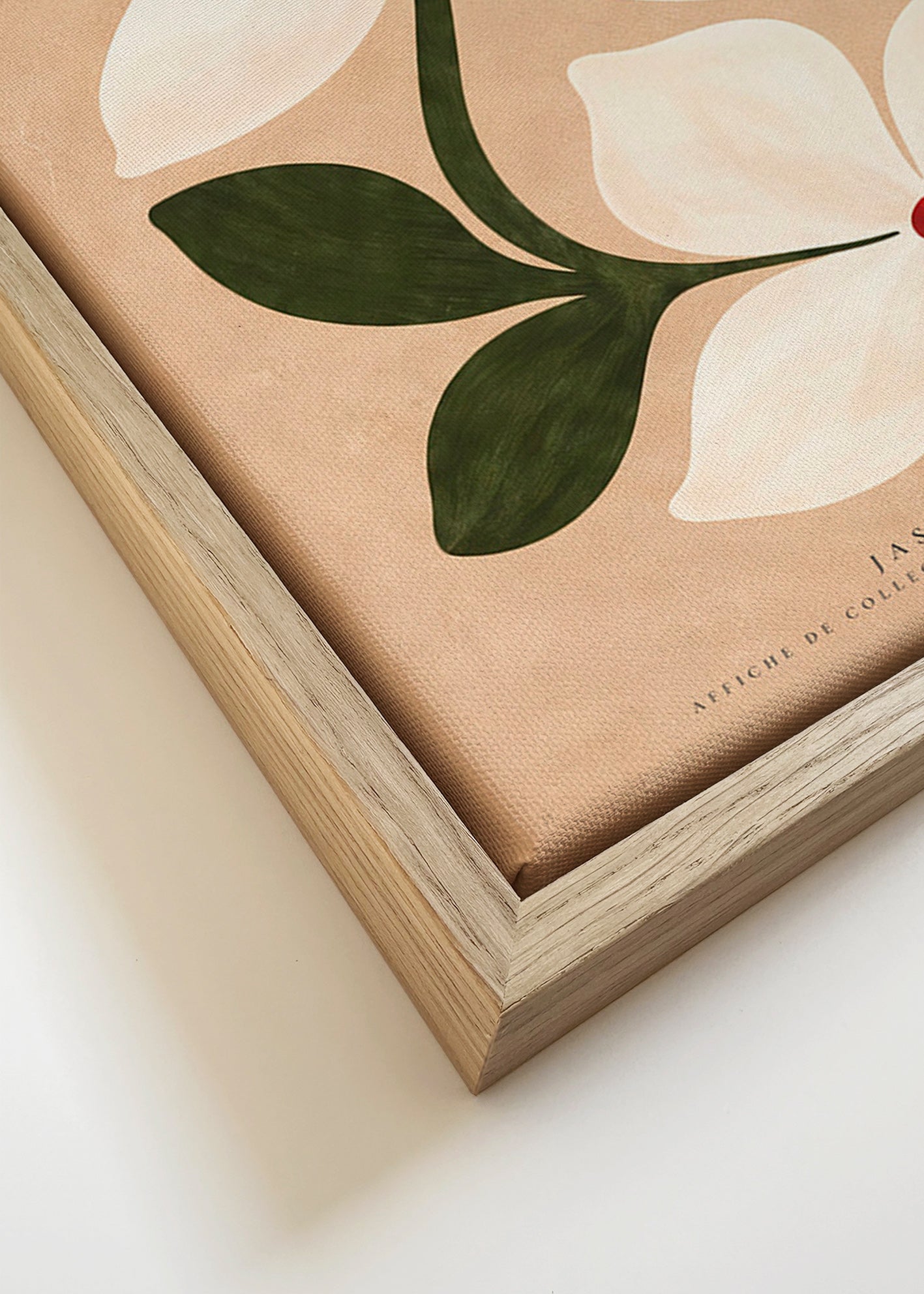 Botanisk plakat jasmin på beige baggrund