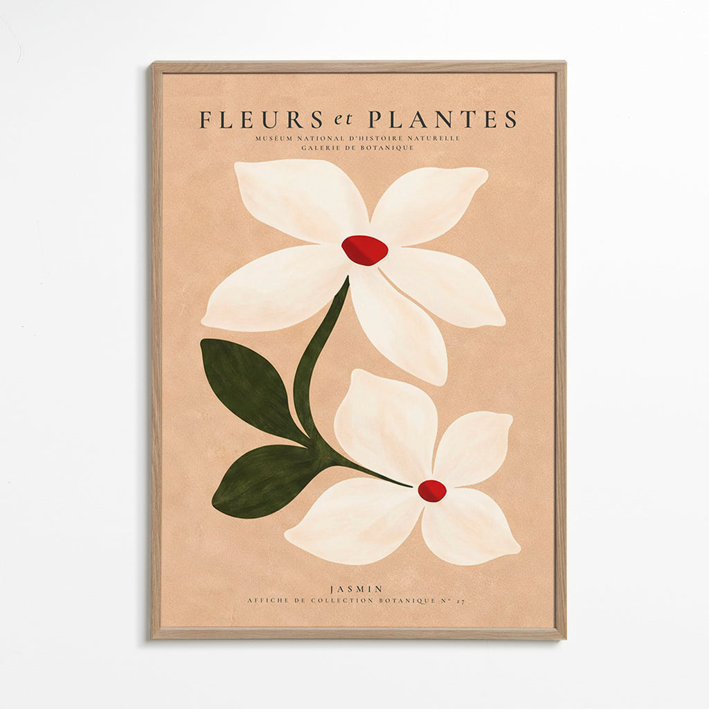 Botanisk plakat jasmin på beige baggrund