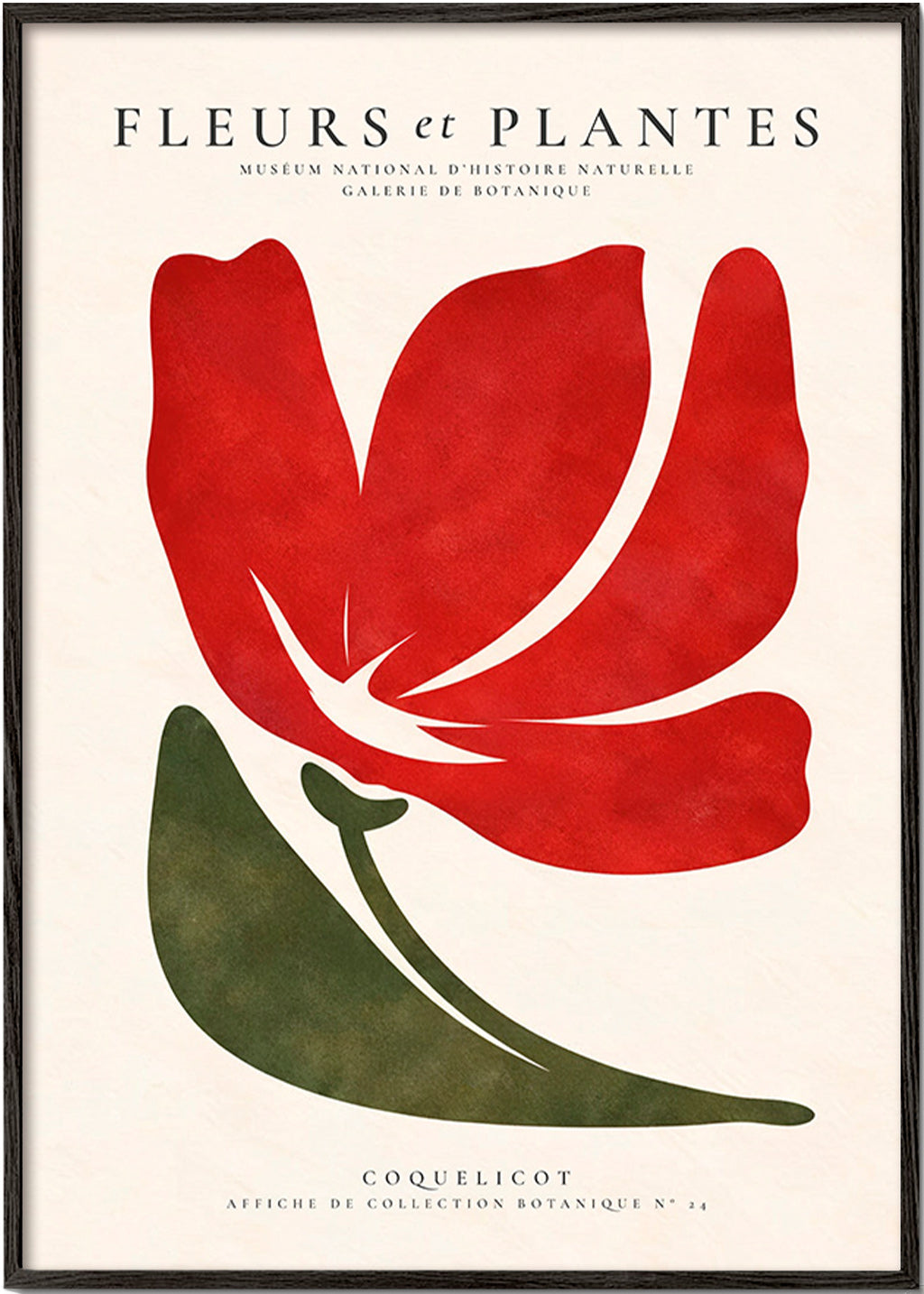 Botanisk plakat med stiliseret rød valmue