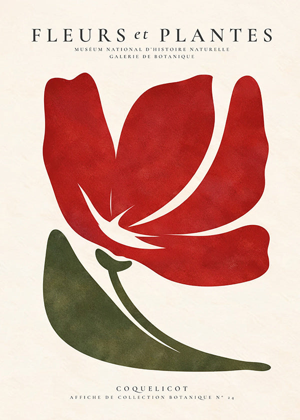 Botanisk plakat med stiliseret rød valmue