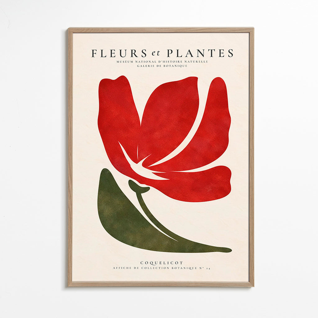 Botanisk plakat med stiliseret rød valmue