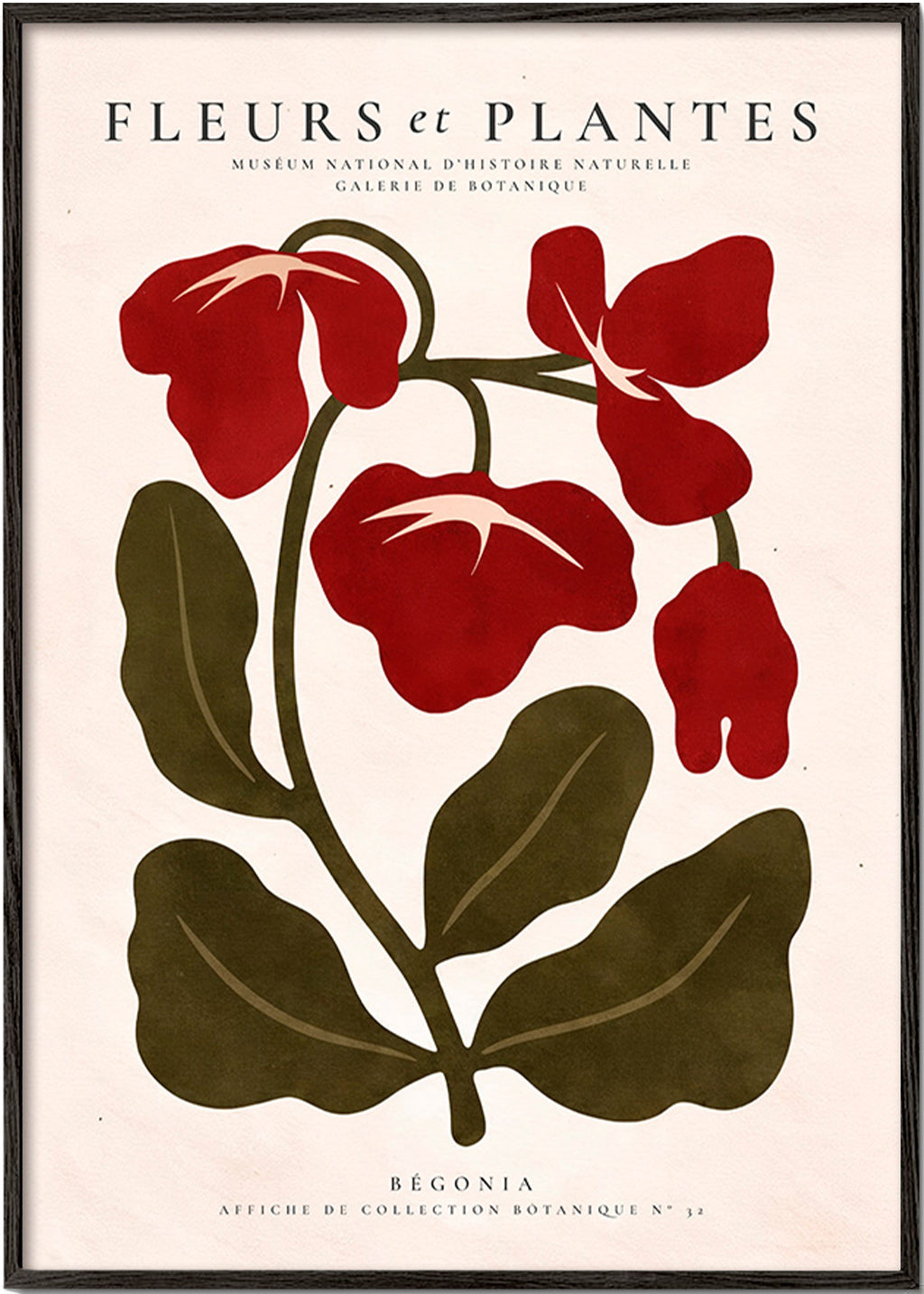 Botanisk plakat: Rød begonia stiliseret