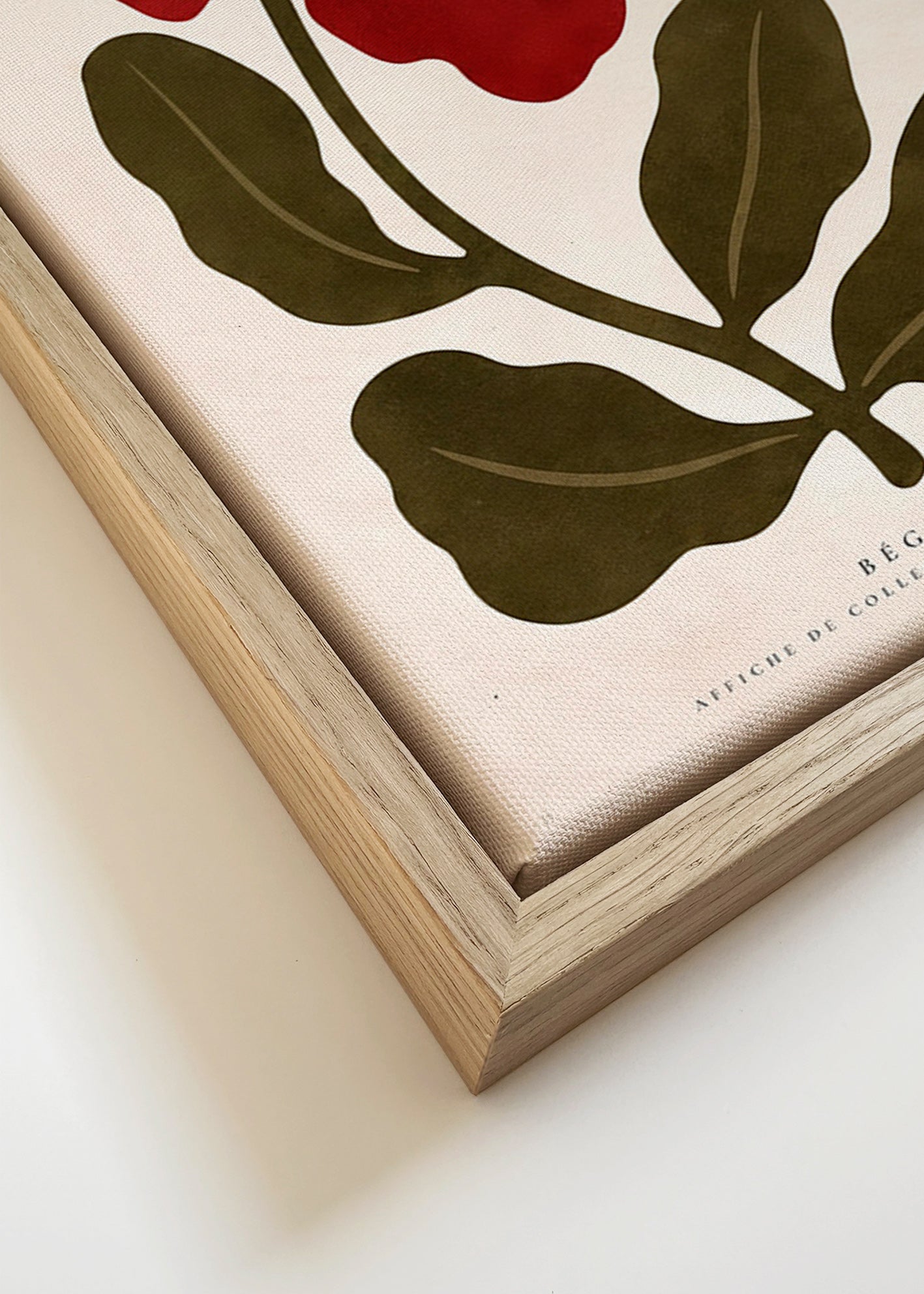Botanisk plakat: Rød begonia stiliseret