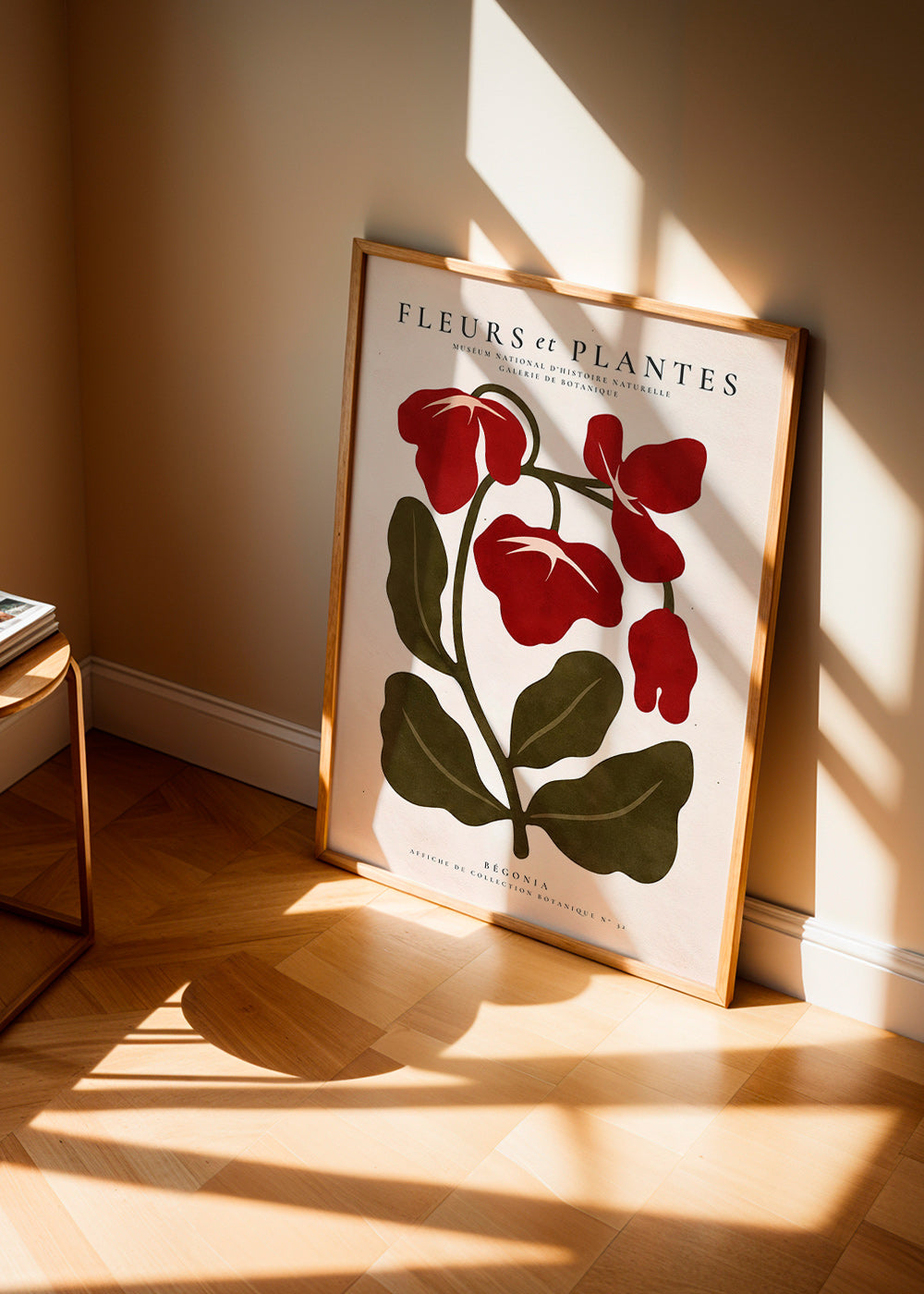 Botanisk plakat: Rød begonia stiliseret