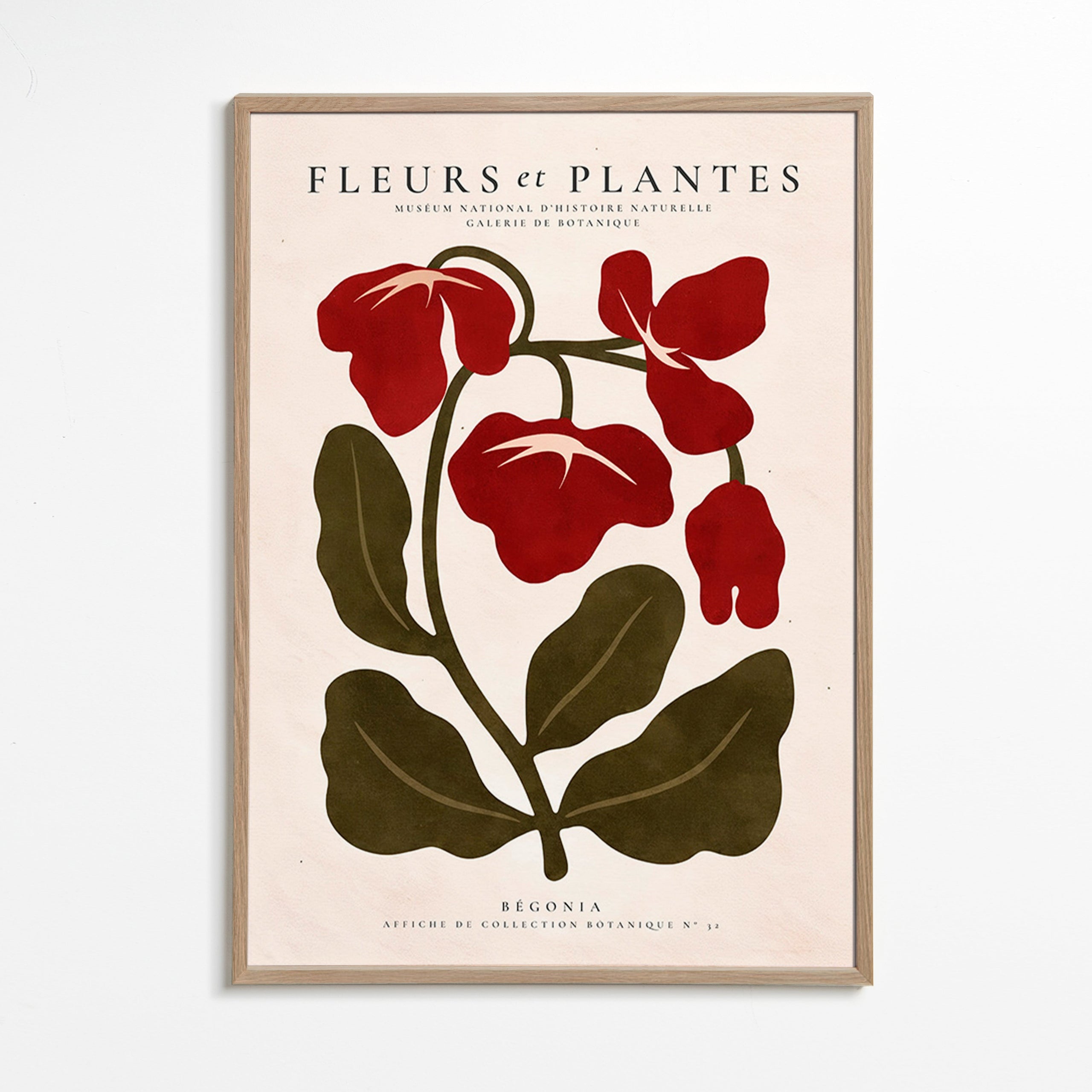 Botanisk plakat: Rød begonia stiliseret