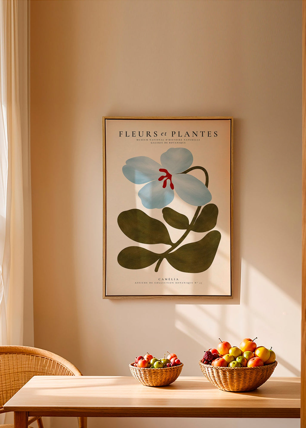 Botanisk plakat Blå kamélie