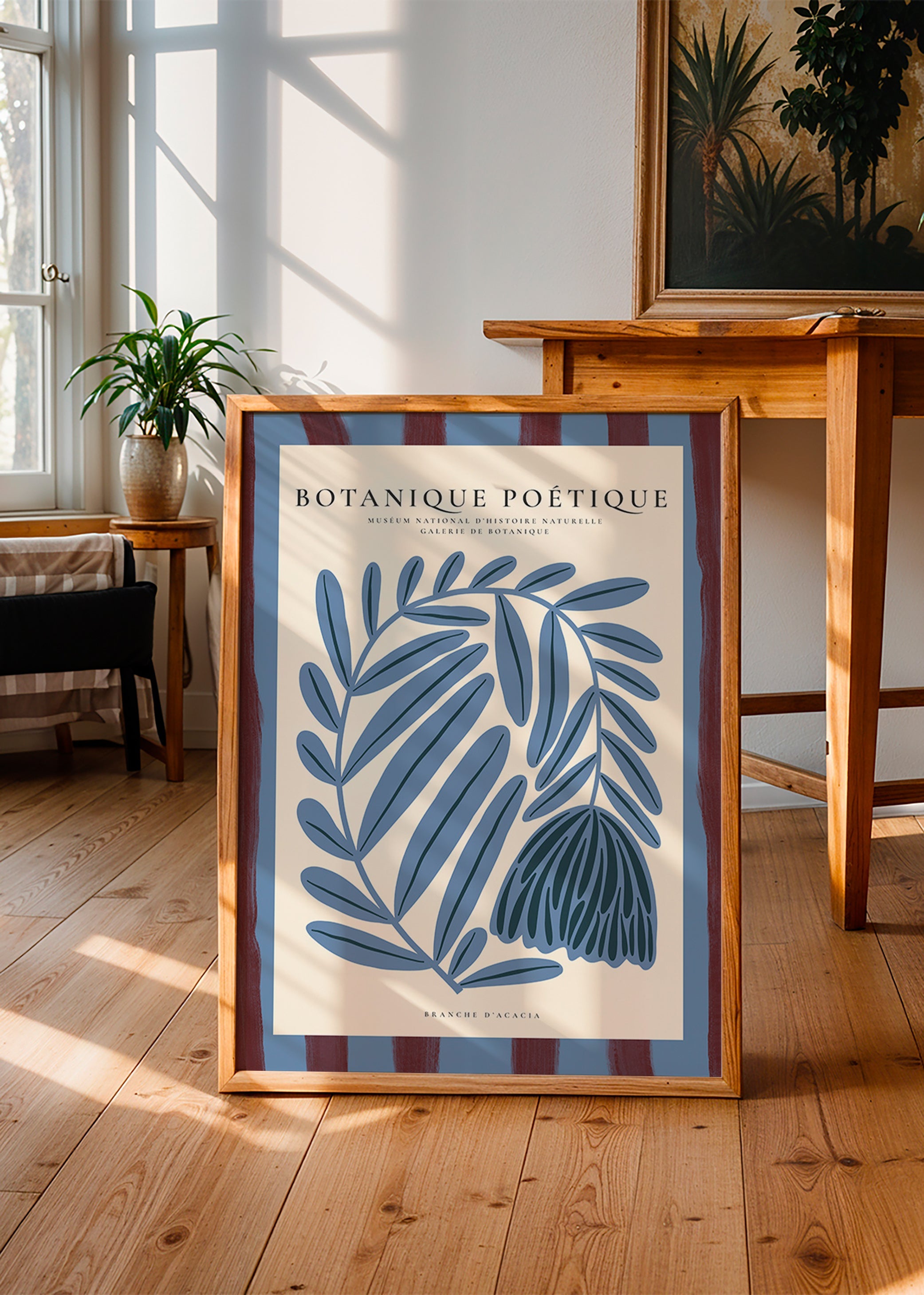 Botanisk plakat: stiliseret blå akacie