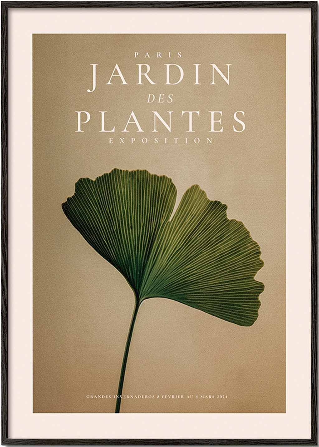 Botanisk plakat med ginkgo-blad og klassisk typografi