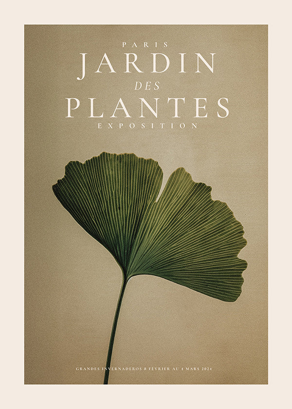 Botanisk plakat med ginkgo-blad og klassisk typografi