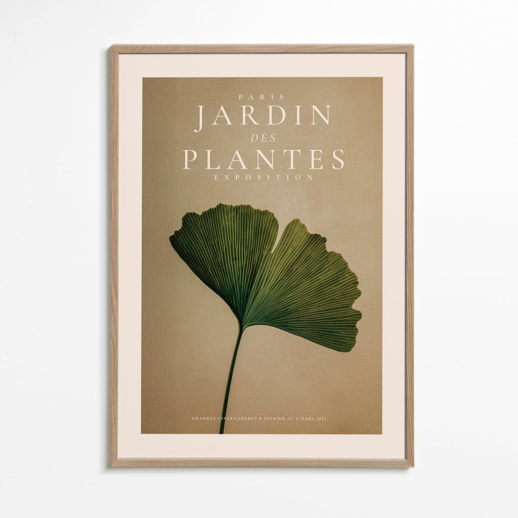 Botanisk plakat med ginkgo-blad og klassisk typografi