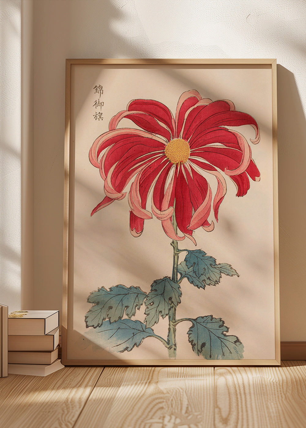 Botanisk plakat japansk krysantem rød