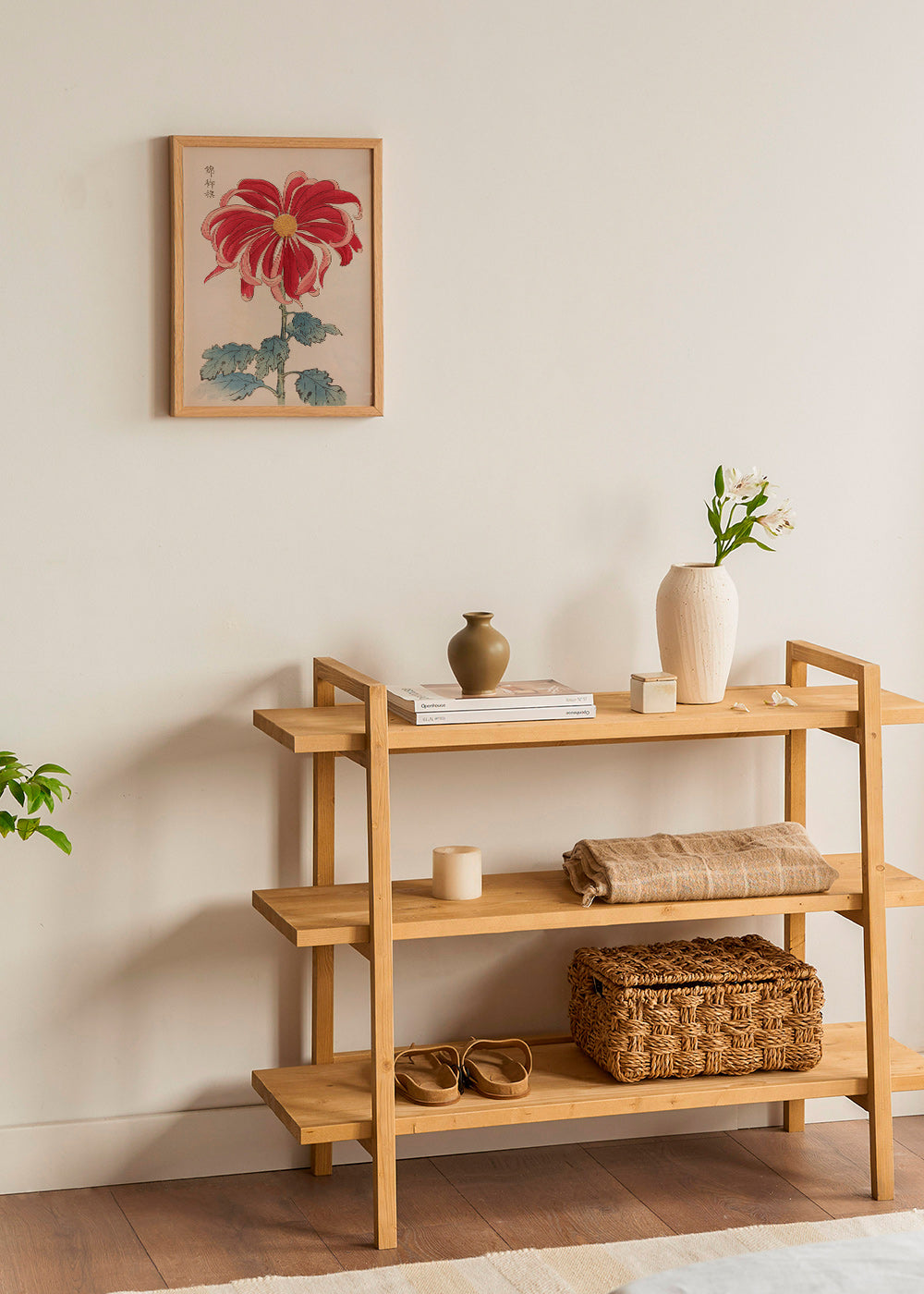 Botanisk plakat japansk krysantem rød