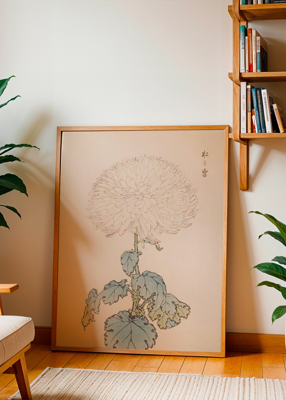 Botanisk plakat: japansk krysantem detalje