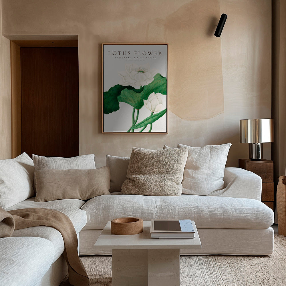 Botanisk plakat Hvid lotus studie